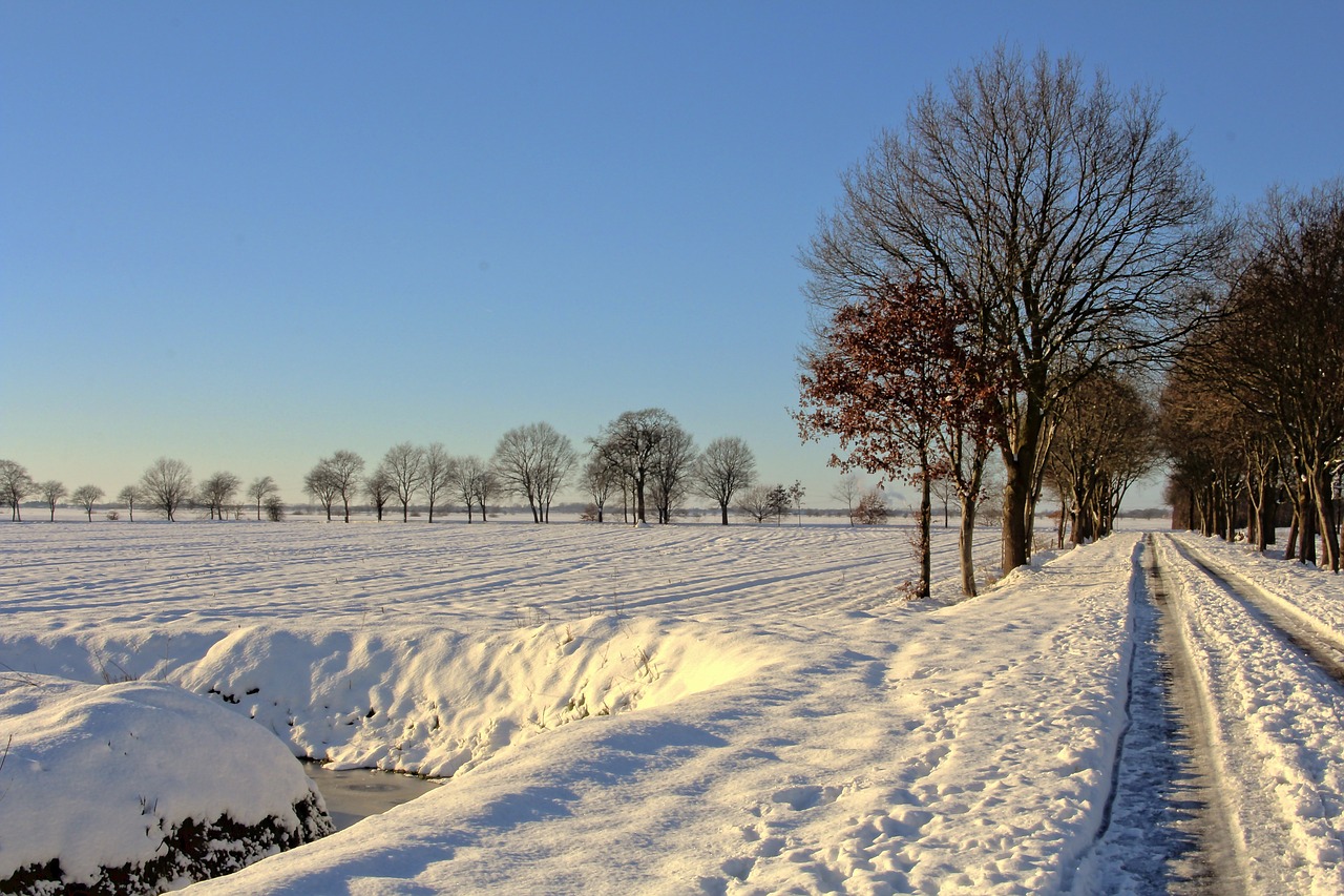 snow winter way free photo