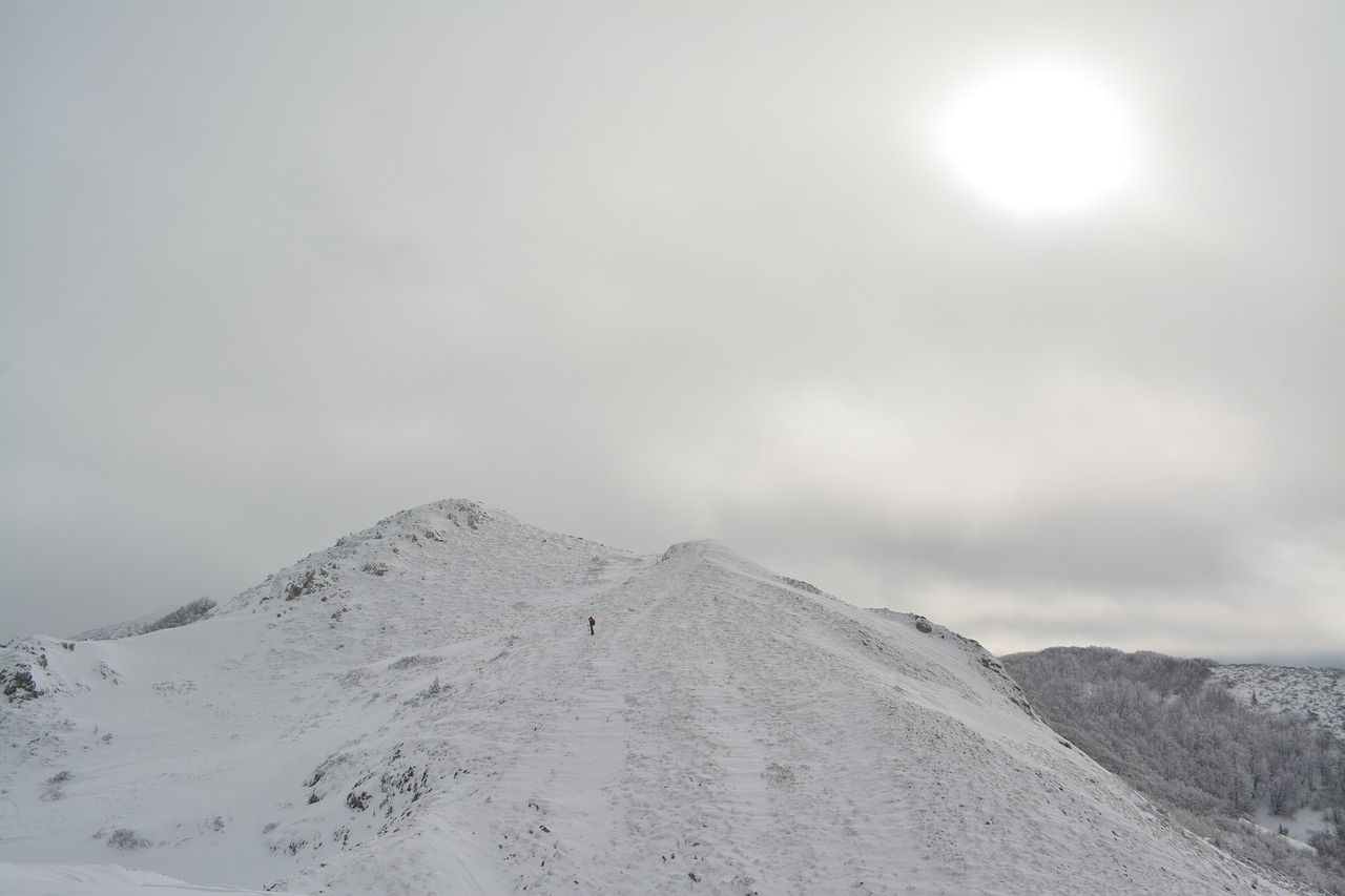 snowy hill winter free photo