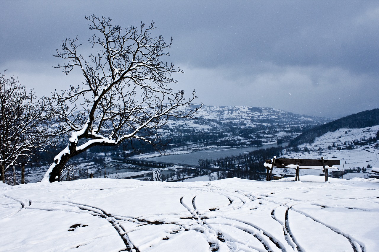 snow landscape nature free photo