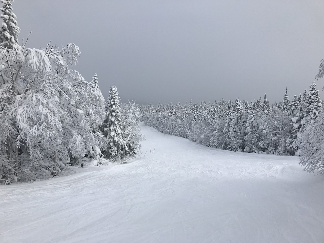 snow ski mountain free photo