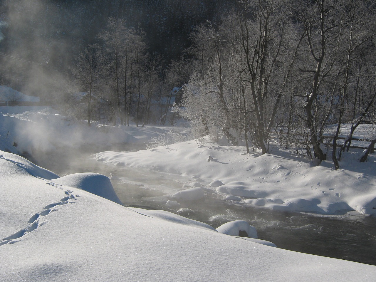 snow cold frozen river free photo