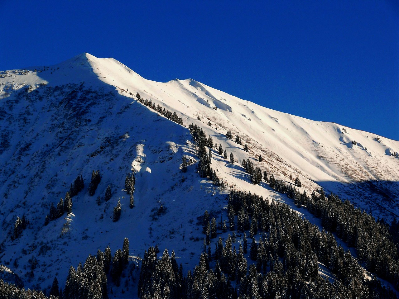 snow winter mountains free photo