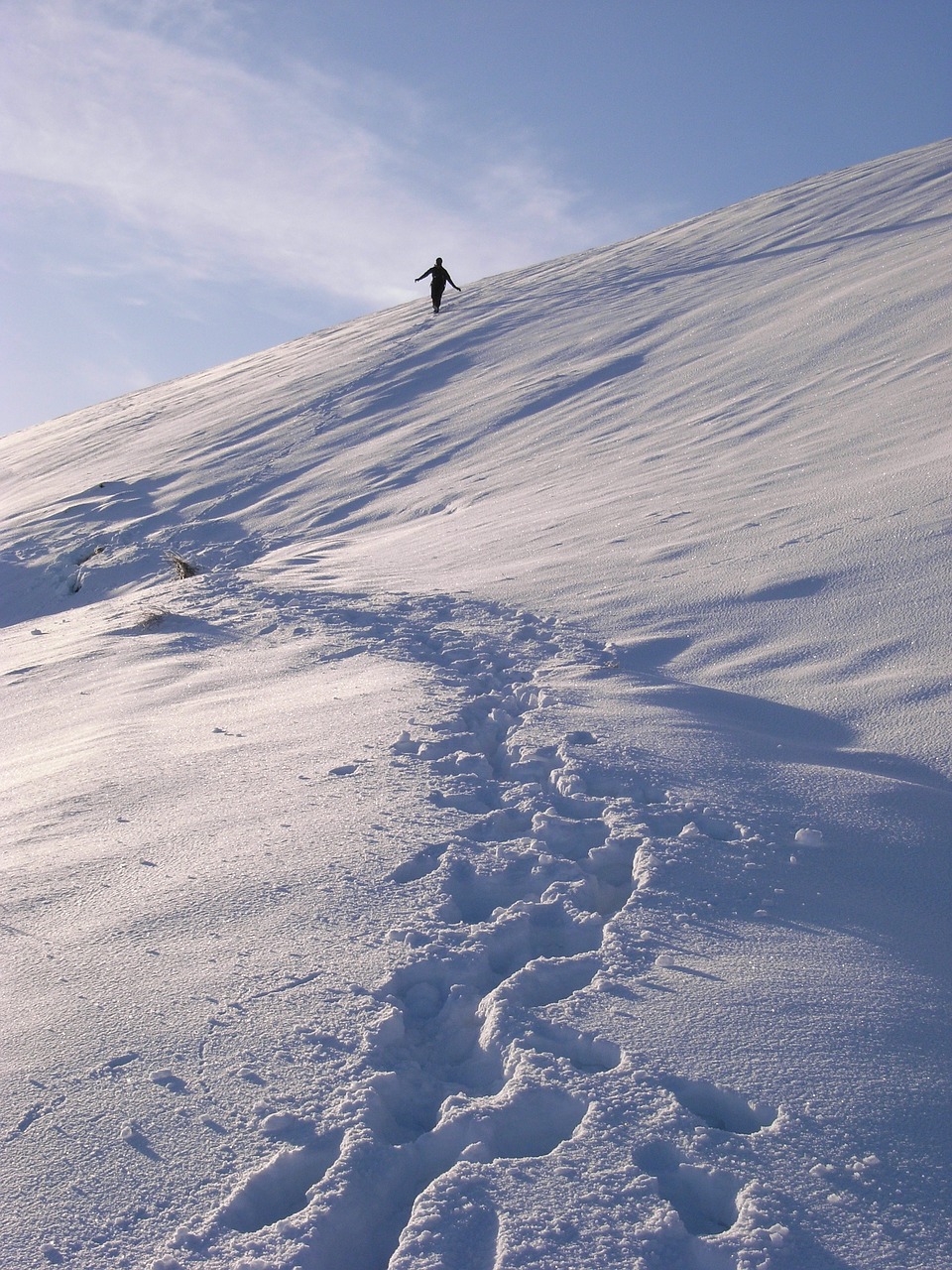 snow footprints alone free photo