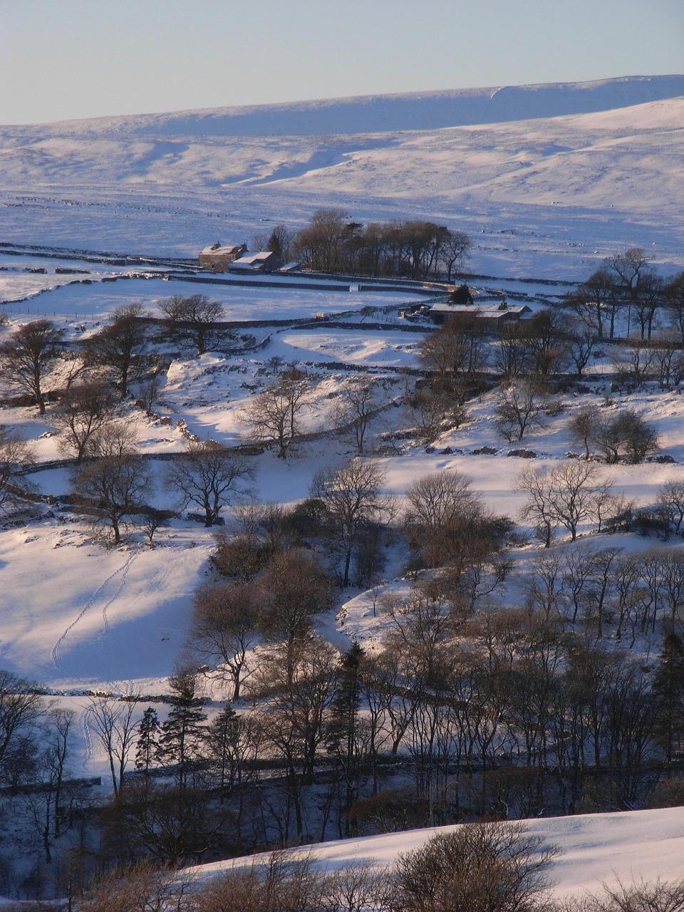 snow trees hills free photo