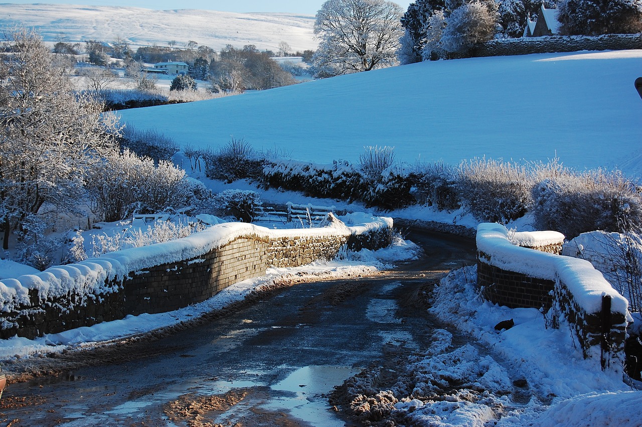 snow landscape cold free photo