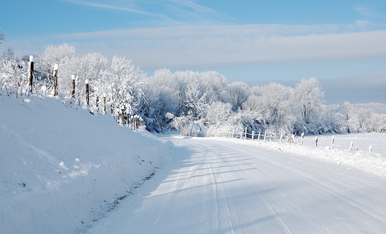 snow winters landscape free photo