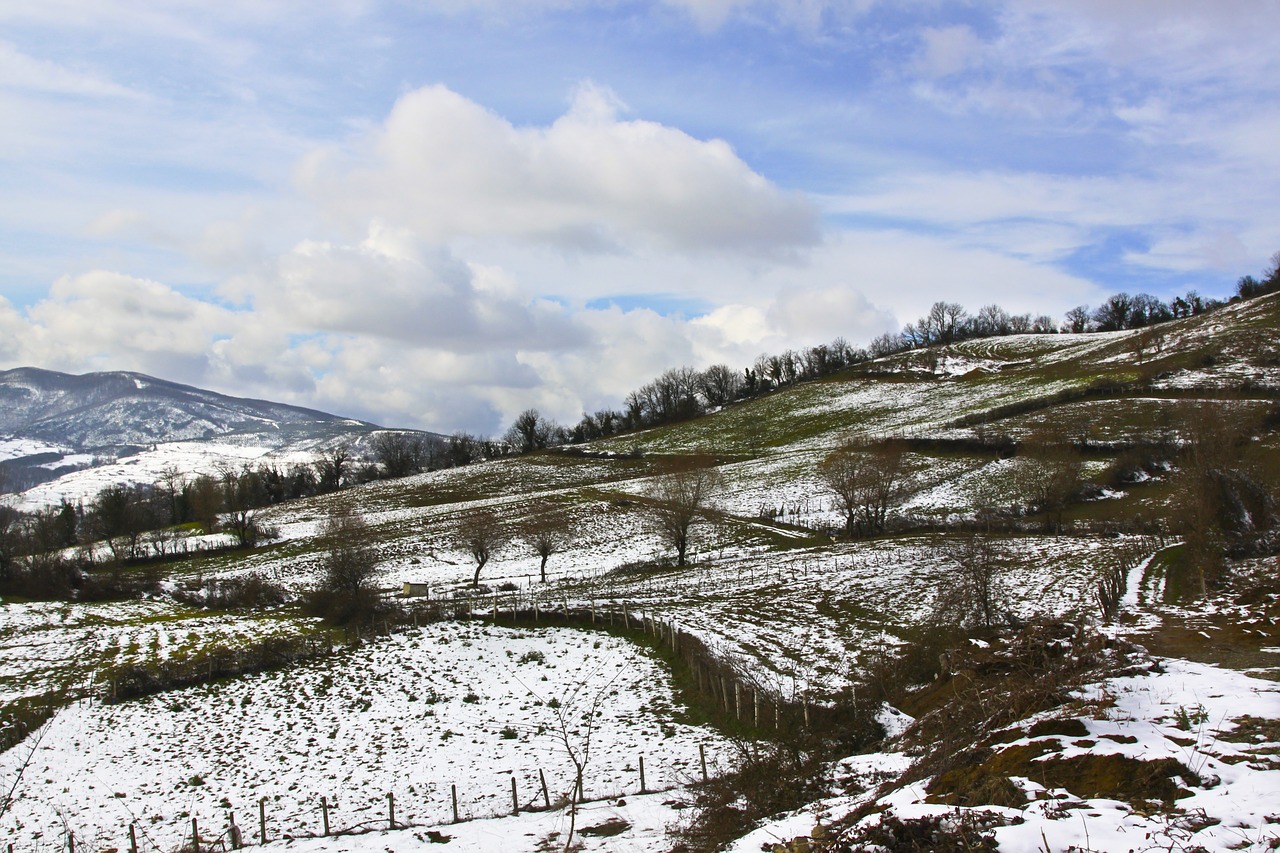 snow winter landscape free photo