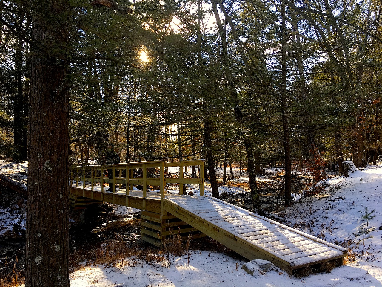 snow bridge forest free photo