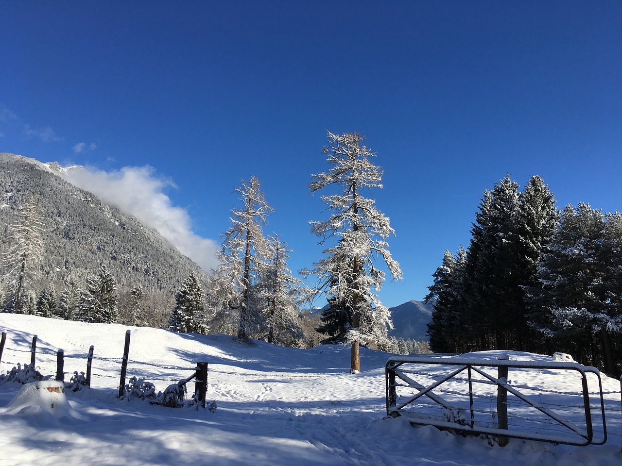 snow landscape winter free photo