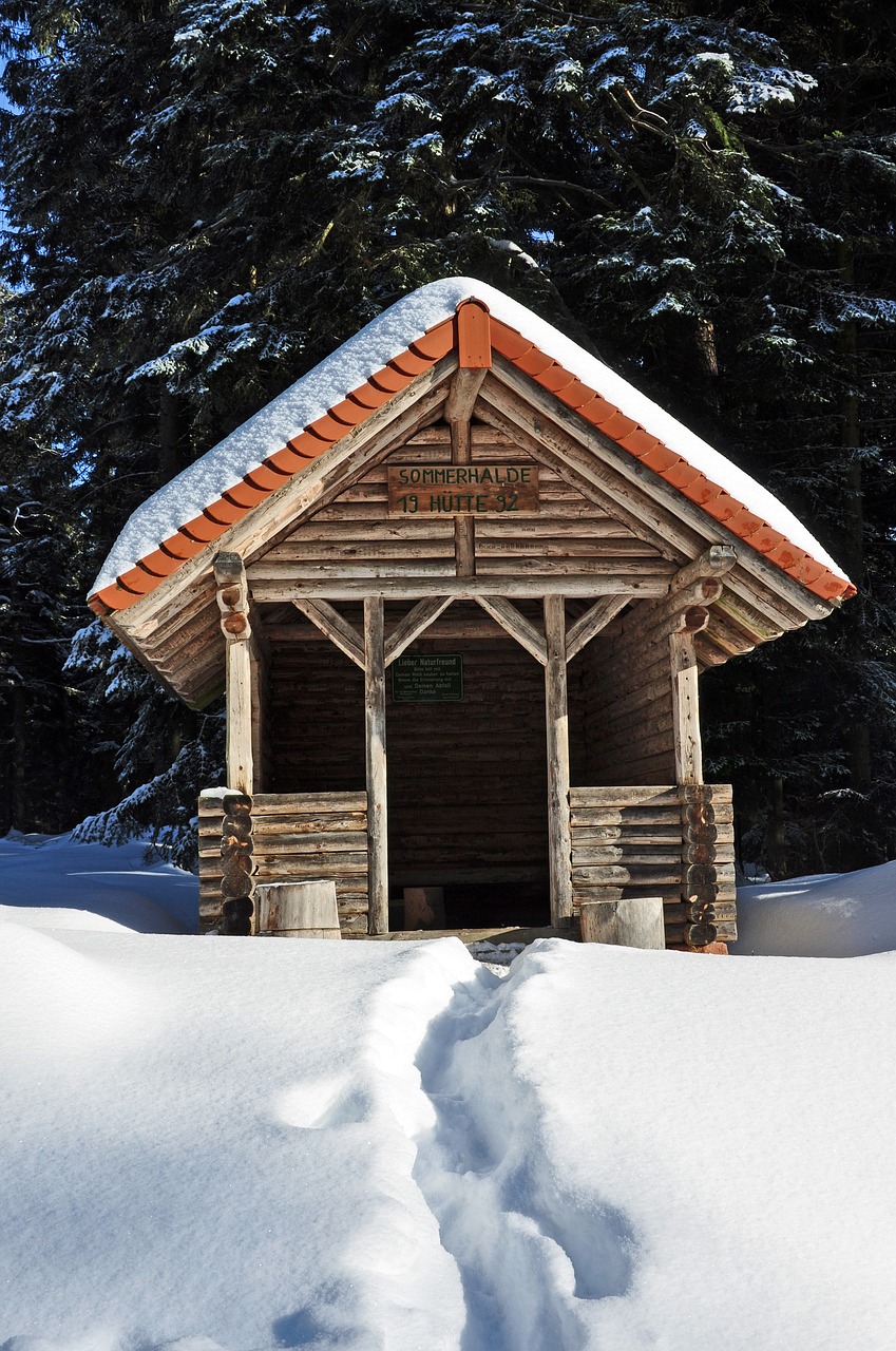 snow hut winter free photo