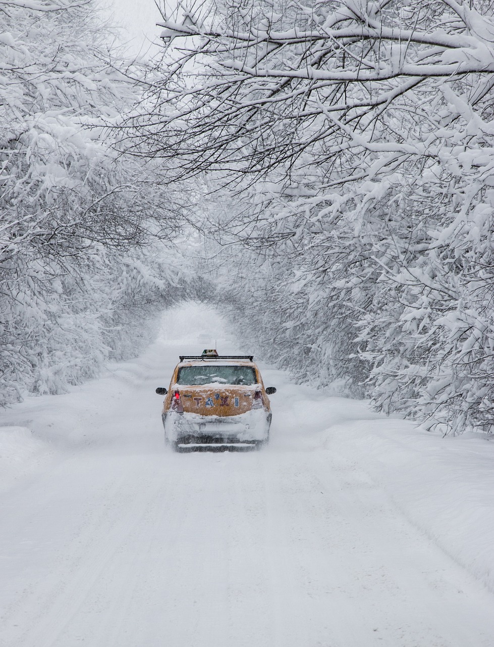 snow white car free photo