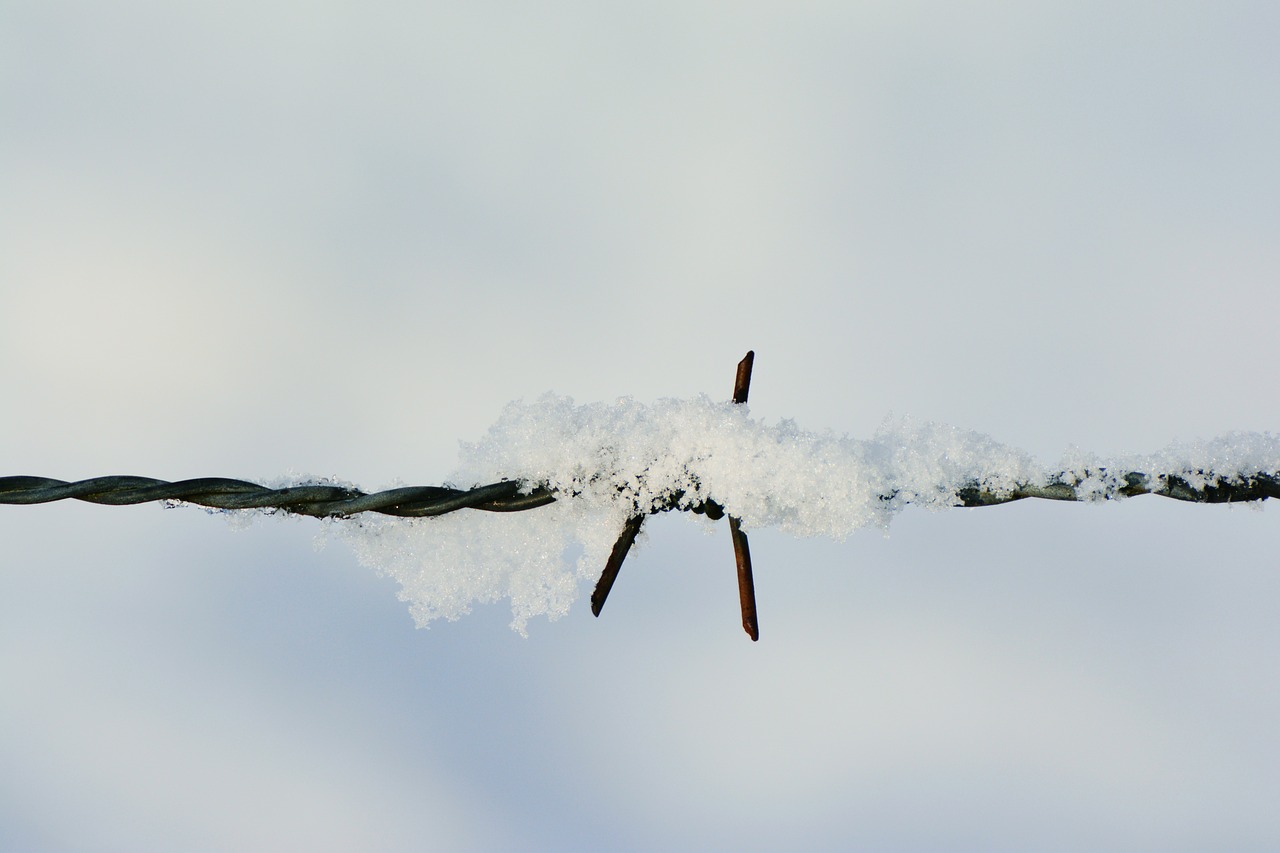 snow barbed wire snowy free photo