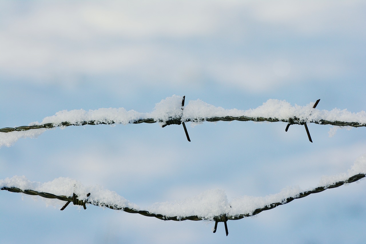 snow barbed wire snowy free photo