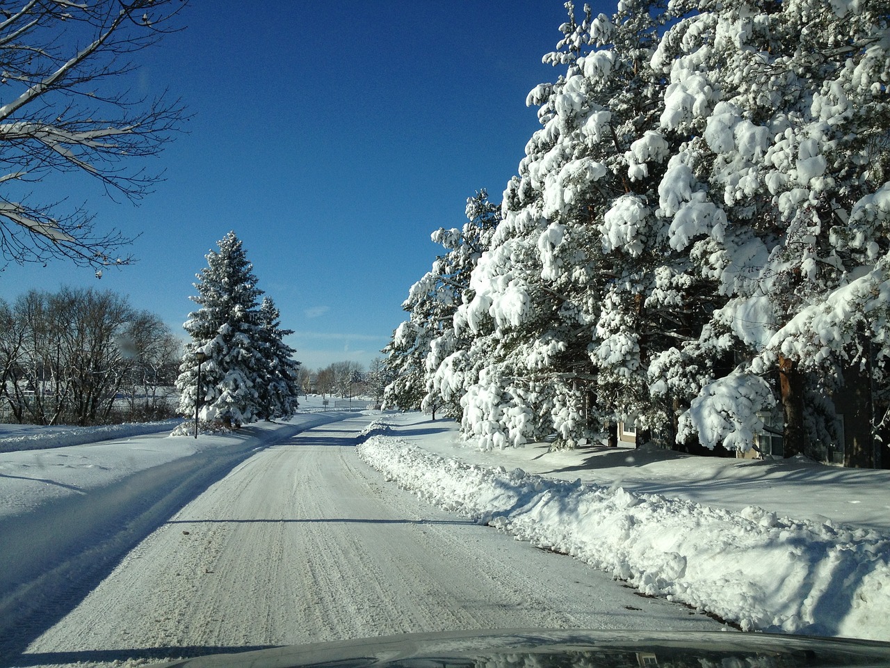 snow winter holiday free photo