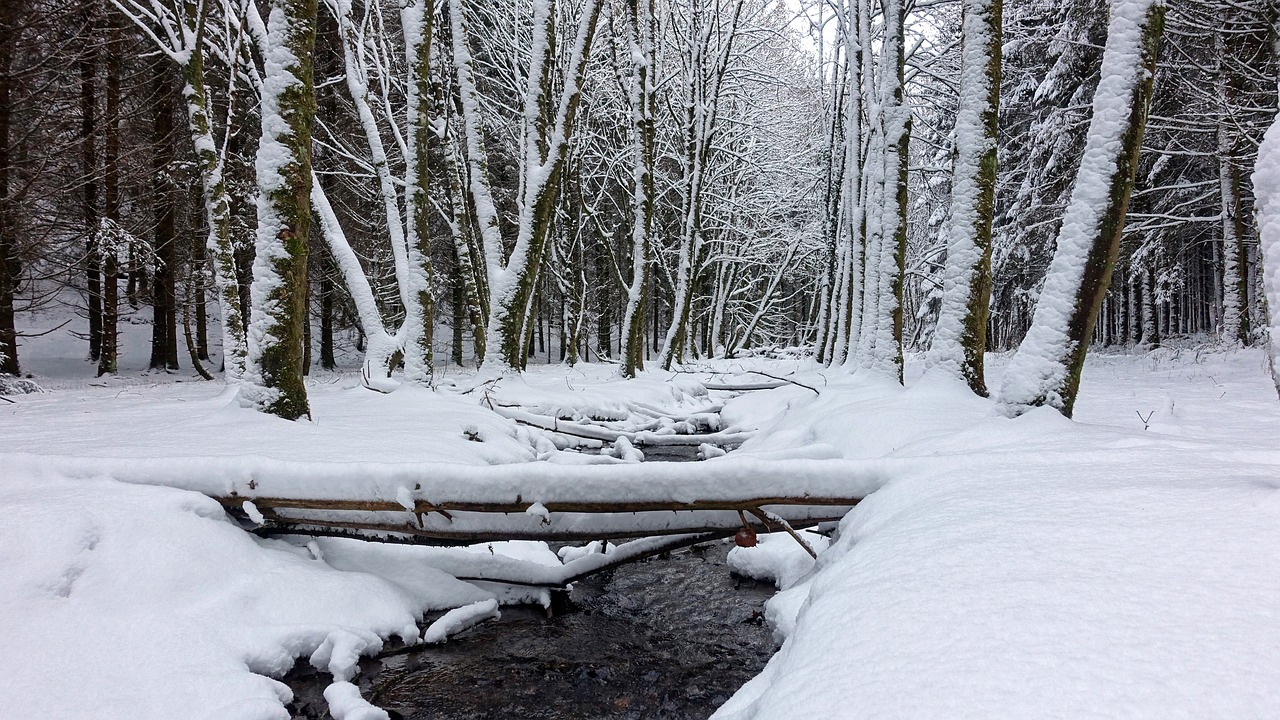 snow white winter landscape free photo