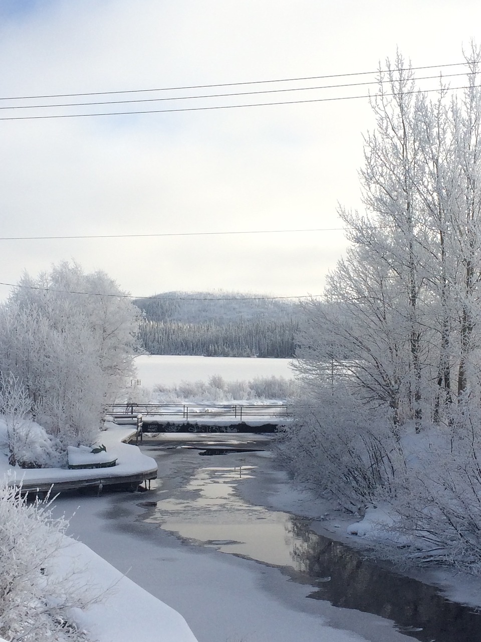 snow creek nature free photo