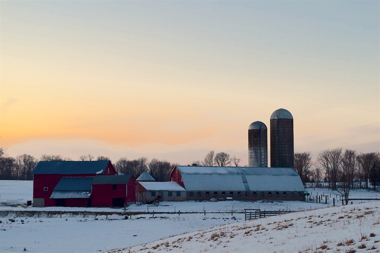 snow farm sunset free photo
