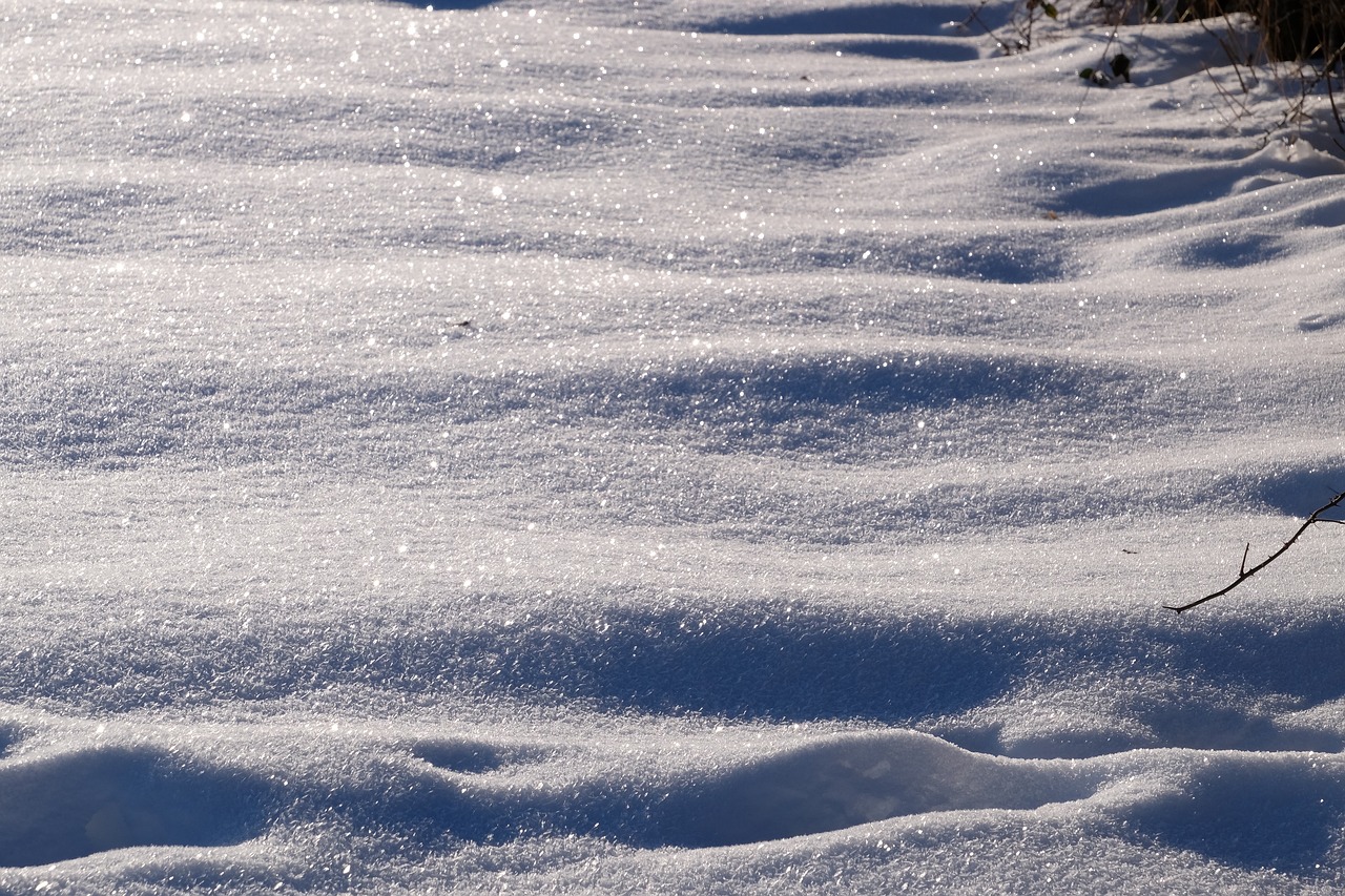 snow flake winter free photo