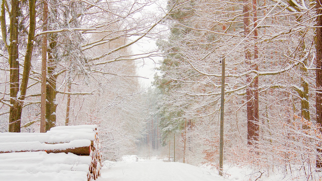 snow landscape away free photo