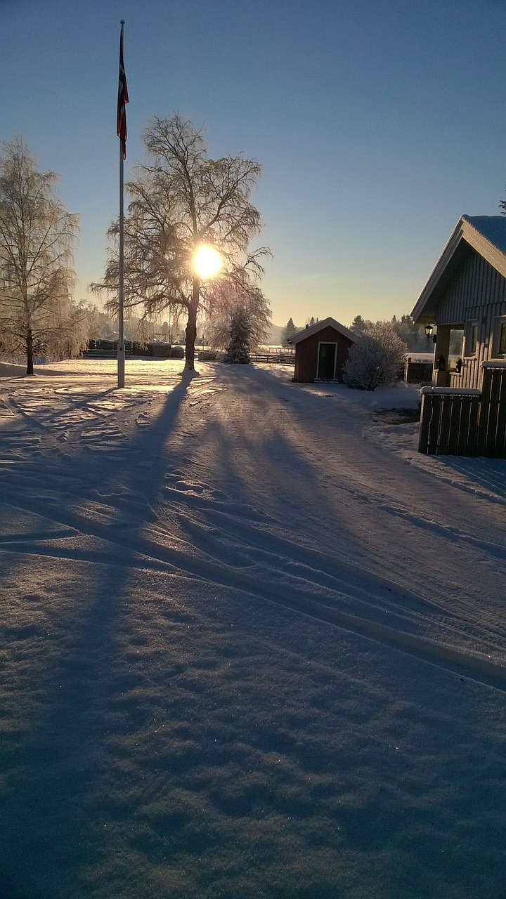 snow norway tree free photo