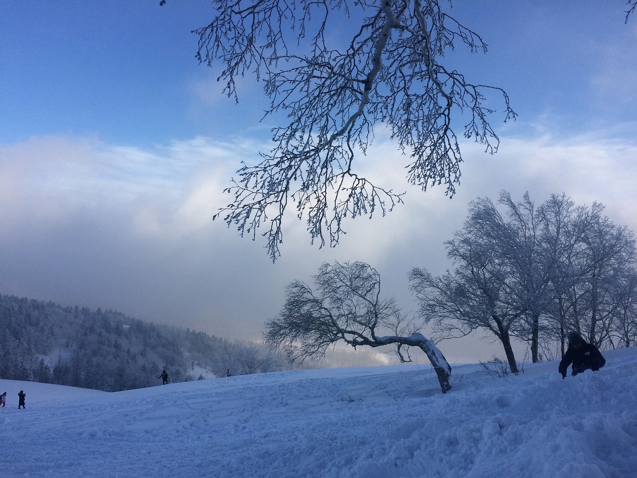 snow winter sky free photo