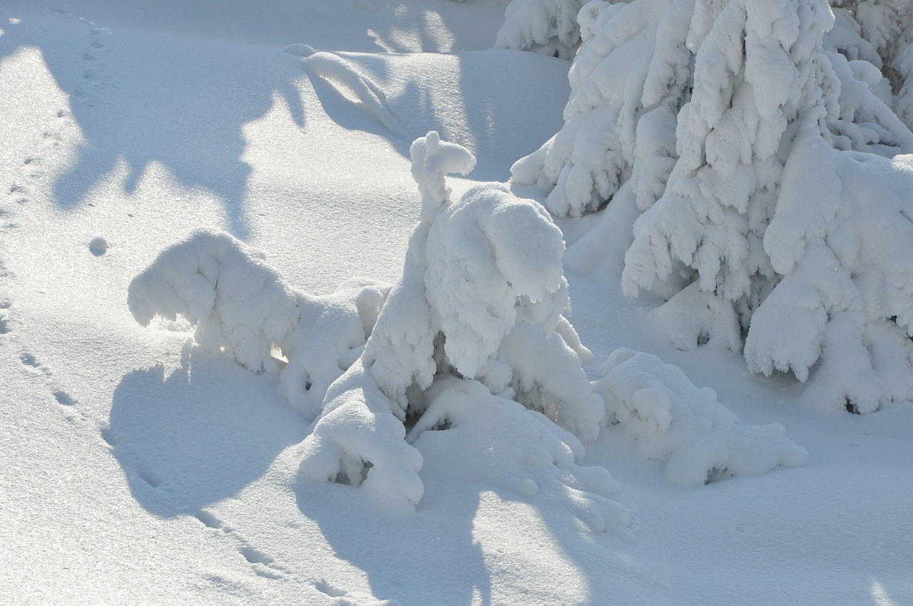 snow mountains winter free photo