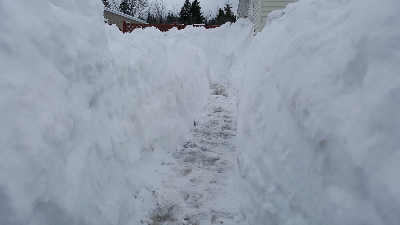 snow path cold free photo