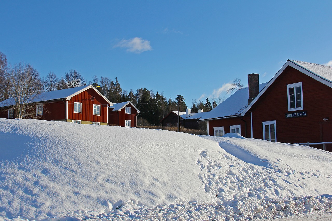 snow winter cold free photo