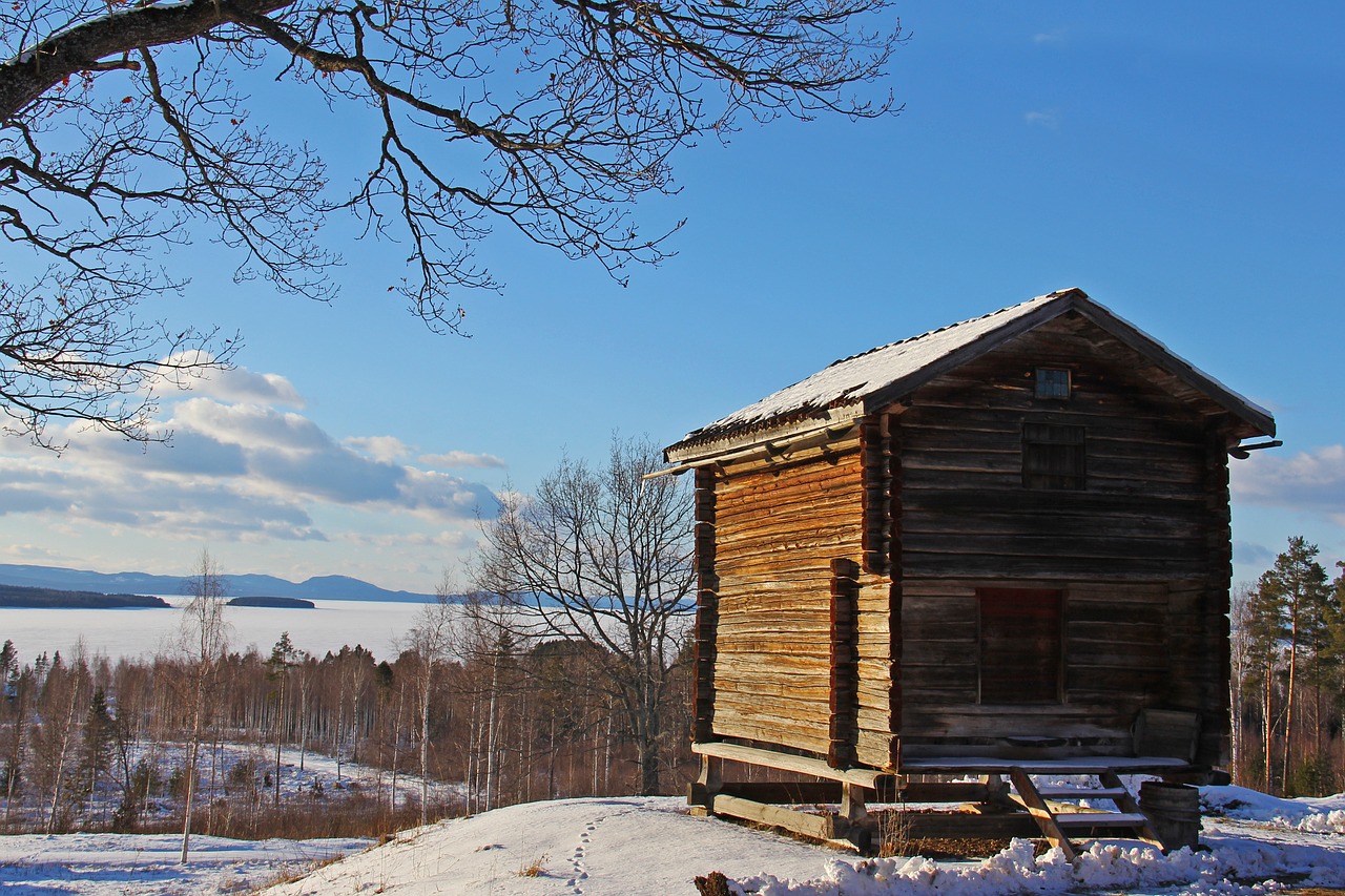 snow winter cold free photo