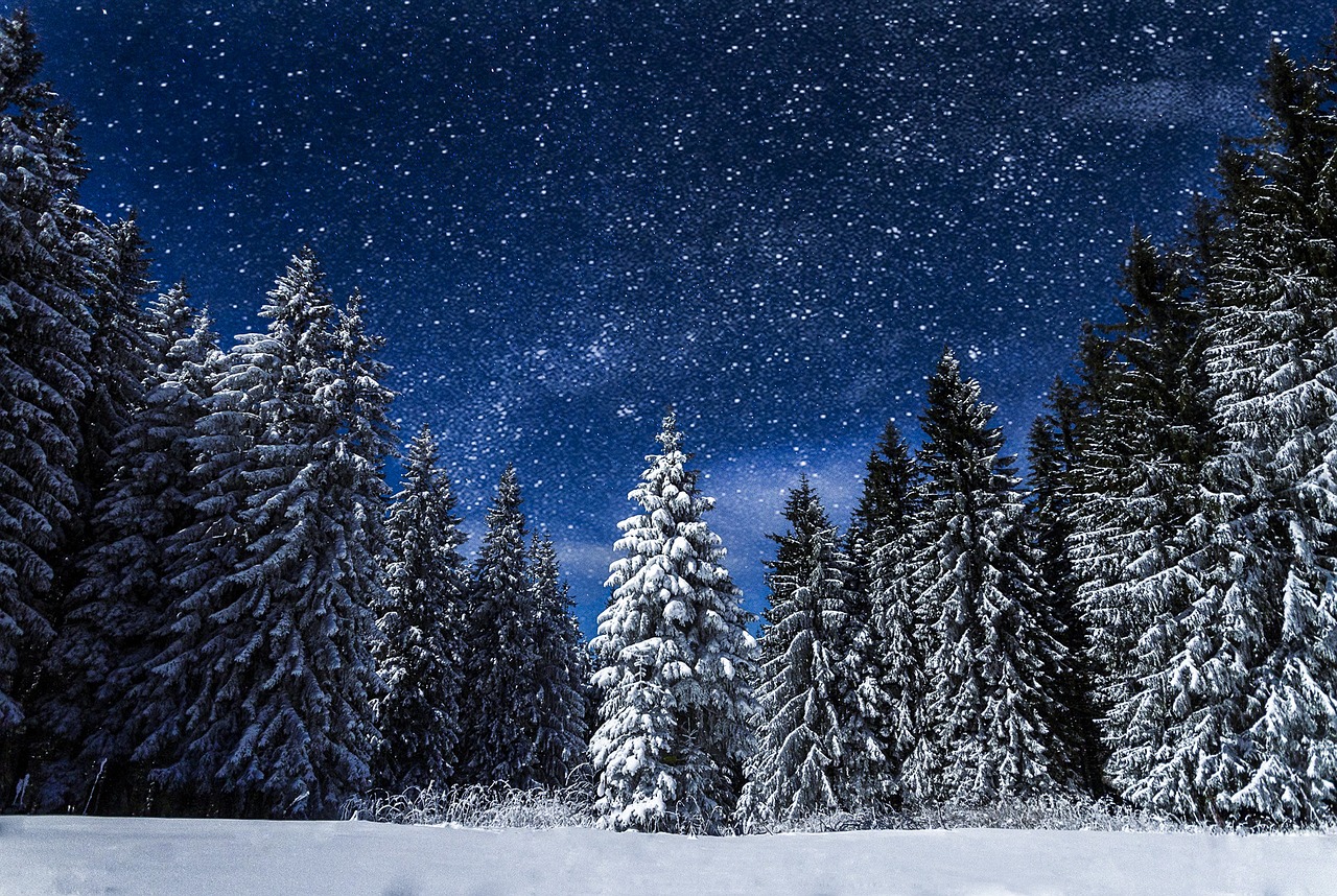 snow nature night free photo