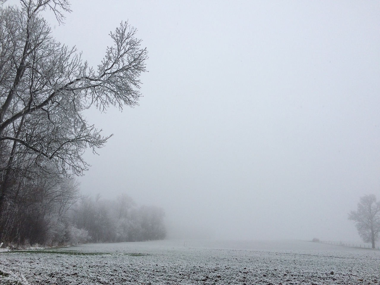 snow winter landscape trees frosted free photo