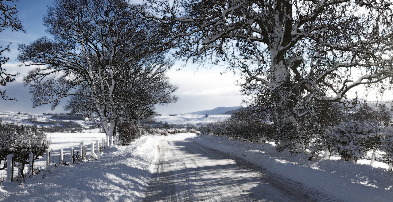 snow landscape rothbury free photo