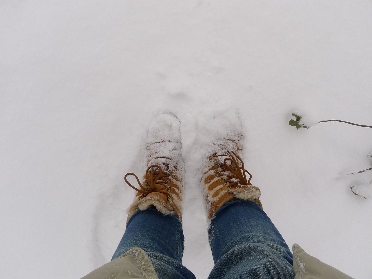 snow winter ugg free photo