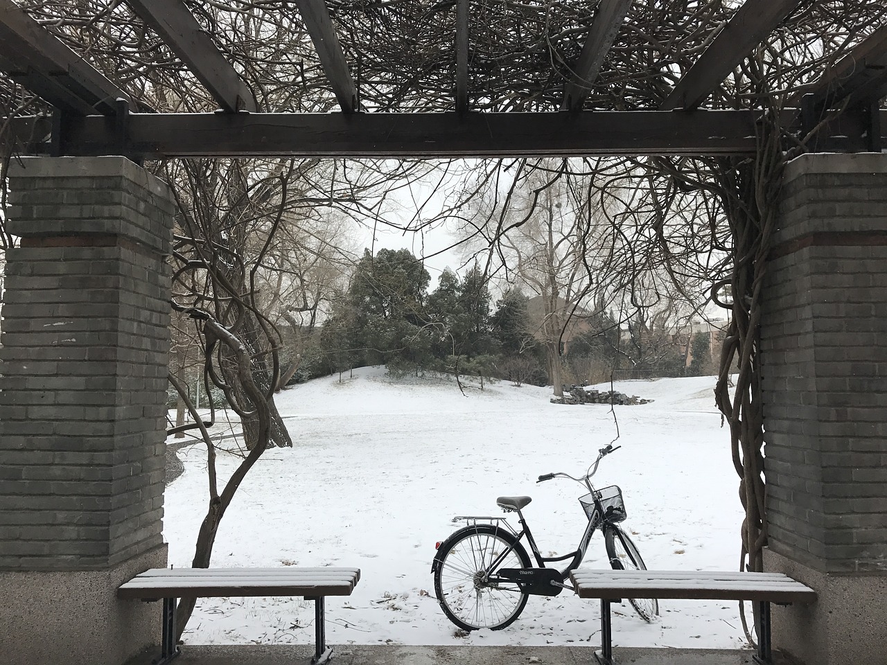 snow bike life free photo