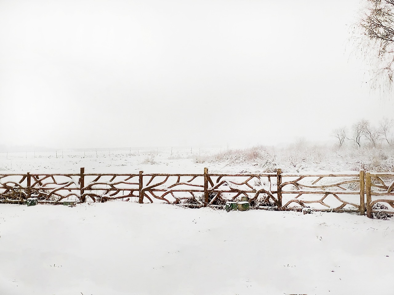 snow header the scenery free photo