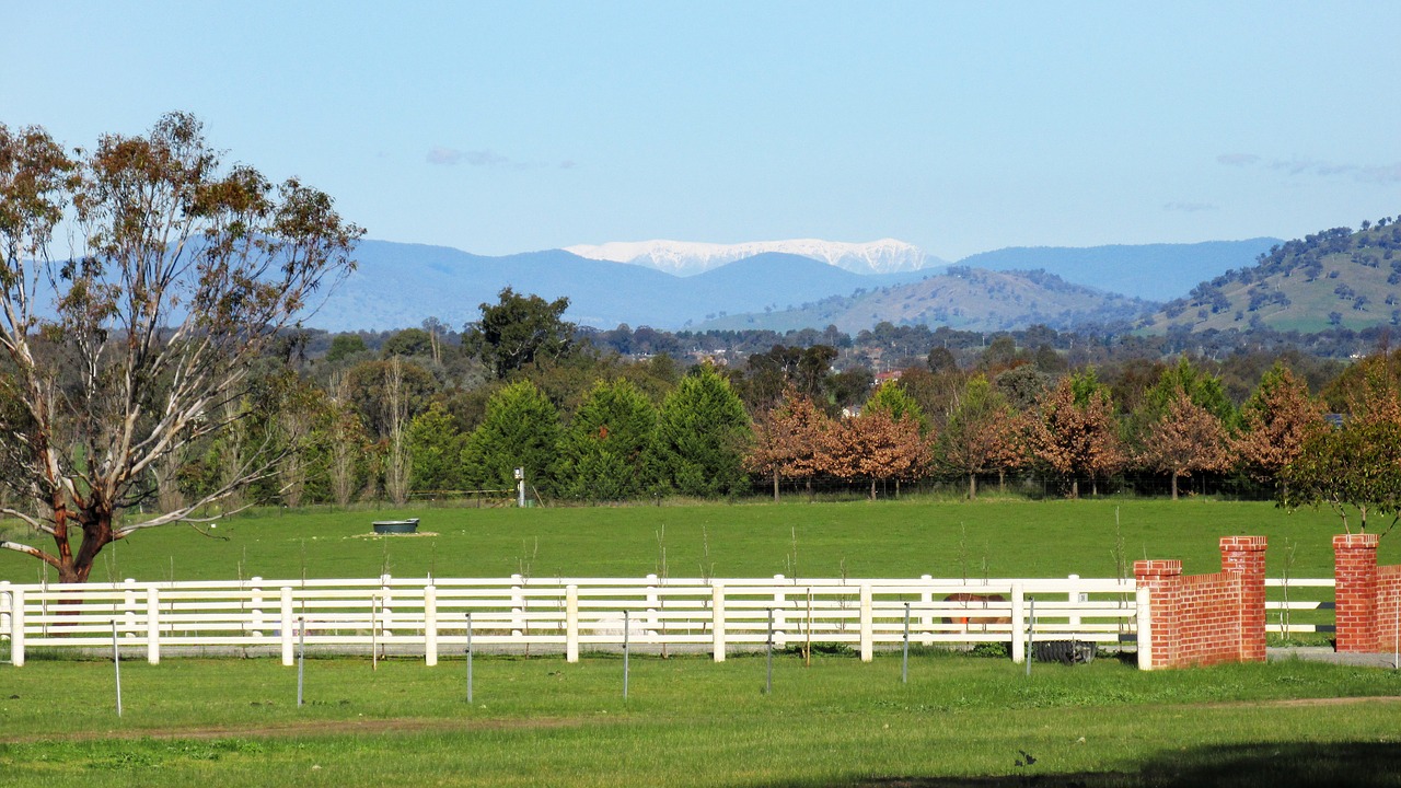 snow on distant free photo