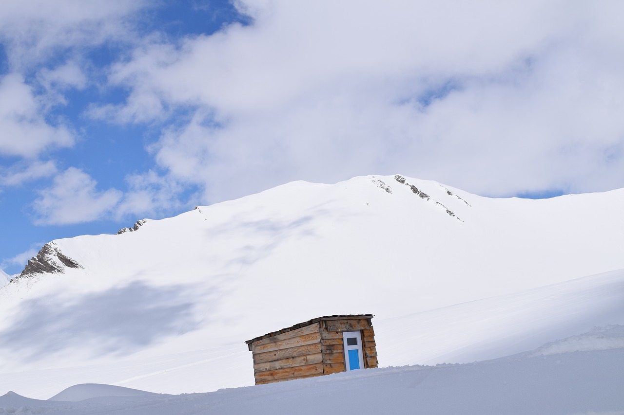 snow winter nature free photo