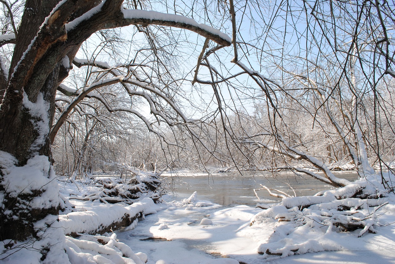 snow trail winter free photo