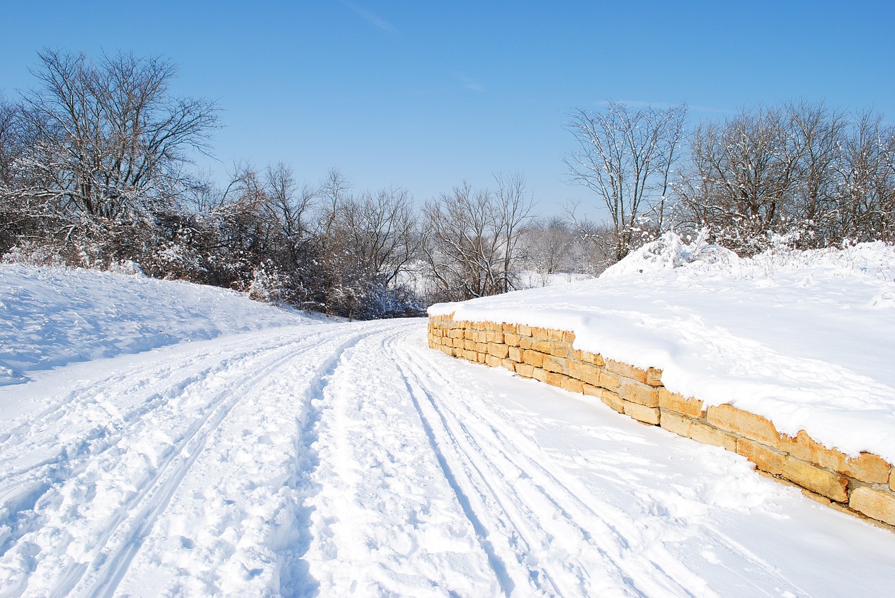 snow trail winter free photo