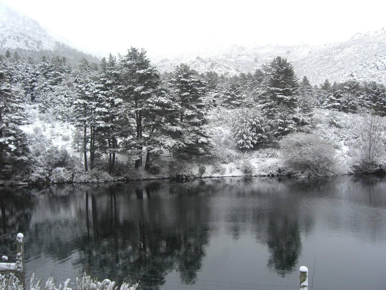 snow winter lake free photo