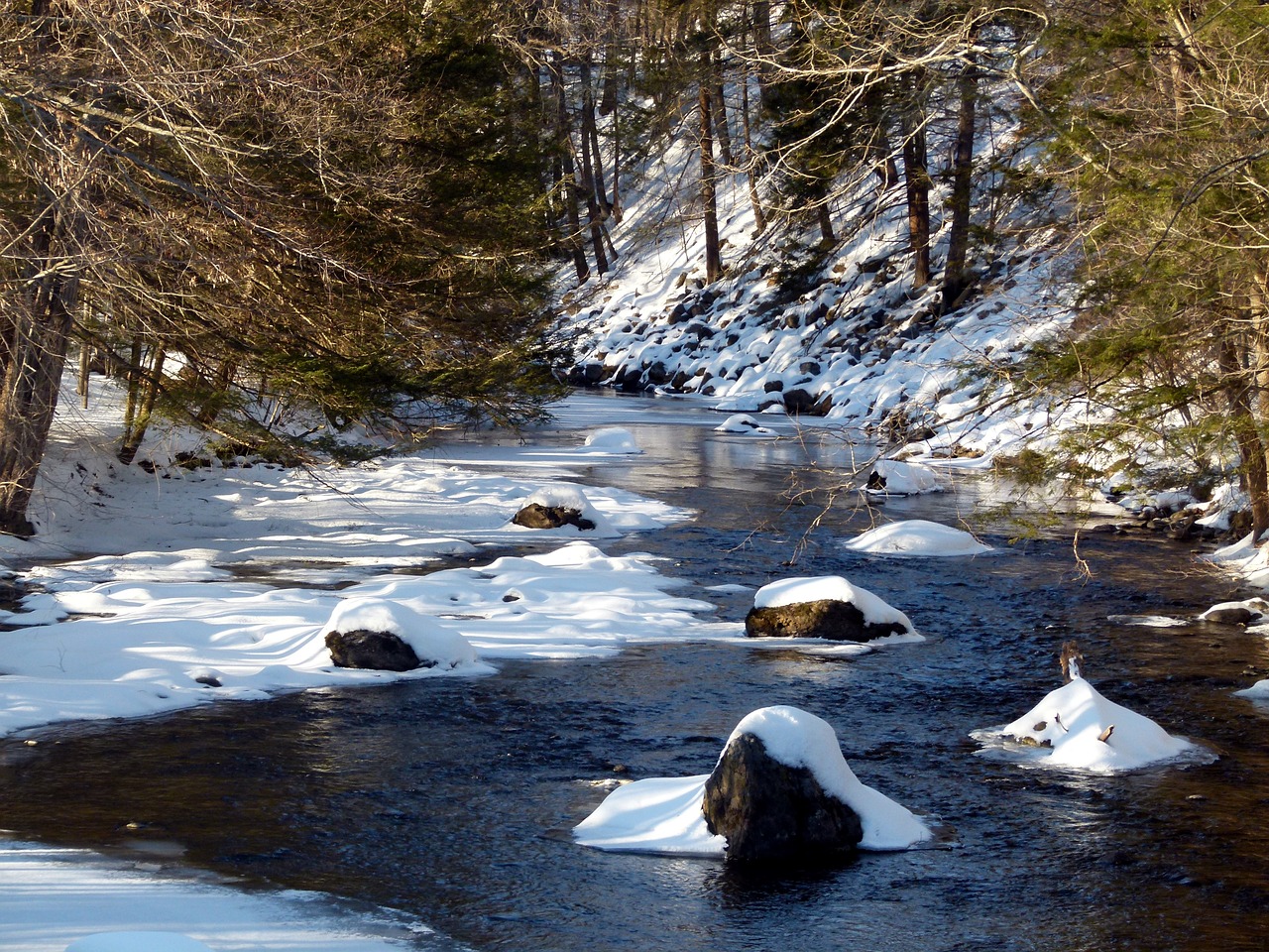 snow winter cold free photo