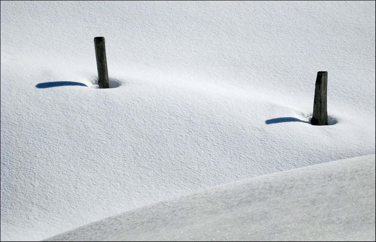 snow winter white free photo