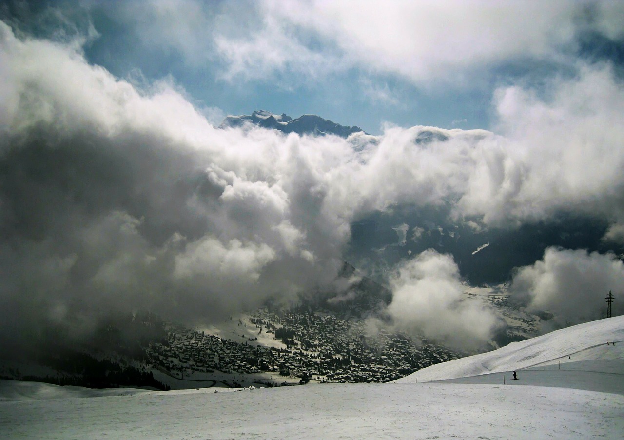snow alpine winter free photo