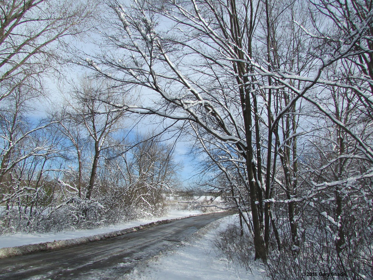 snow road nature free photo