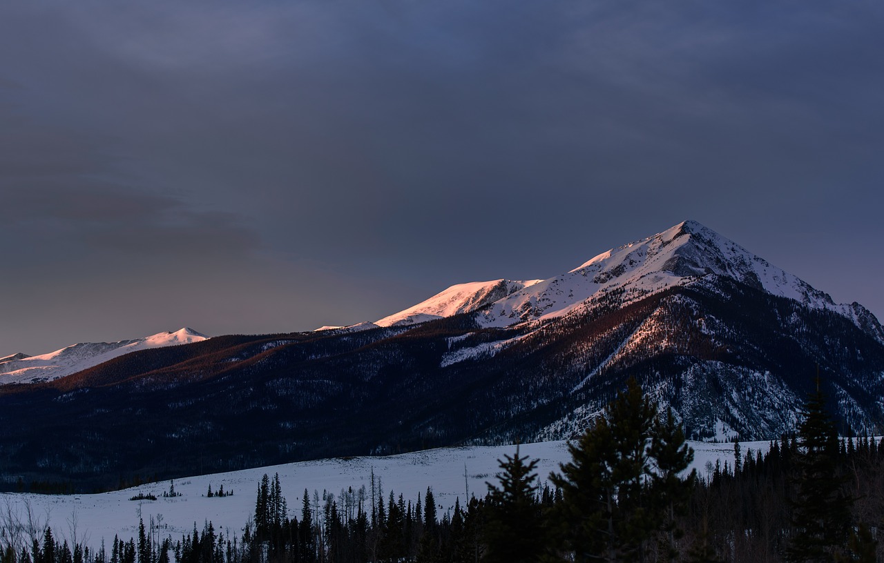 snow winter white free photo