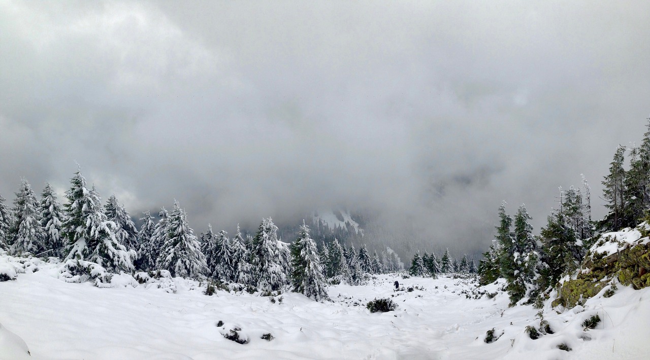 snow winter mountain free photo