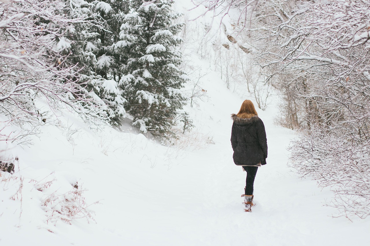 snow winter mountain free photo