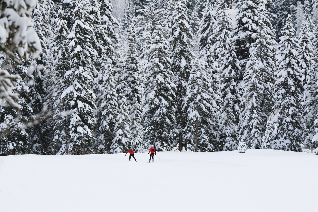 snow winter mountain free photo