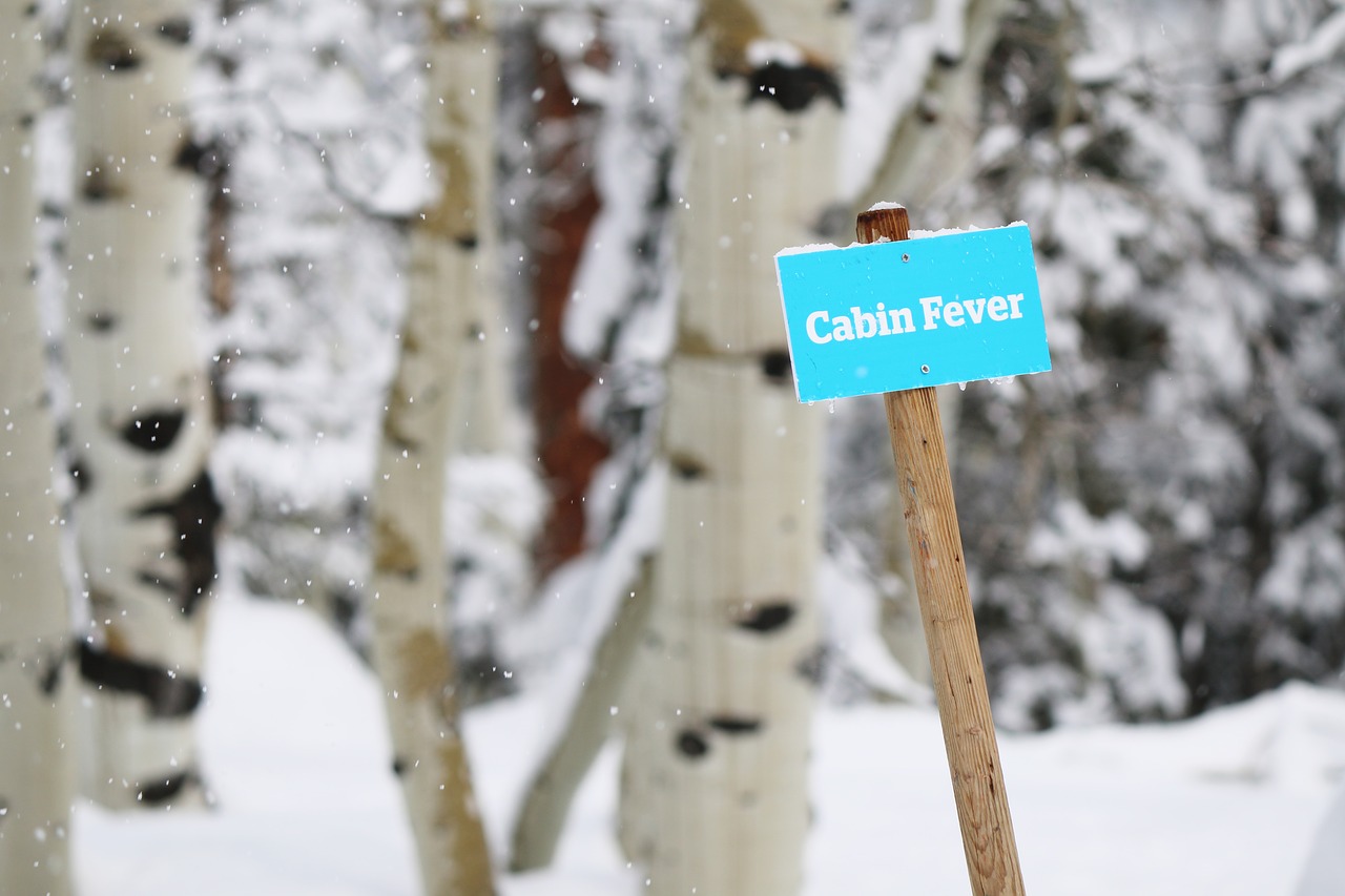 snow winter signage free photo