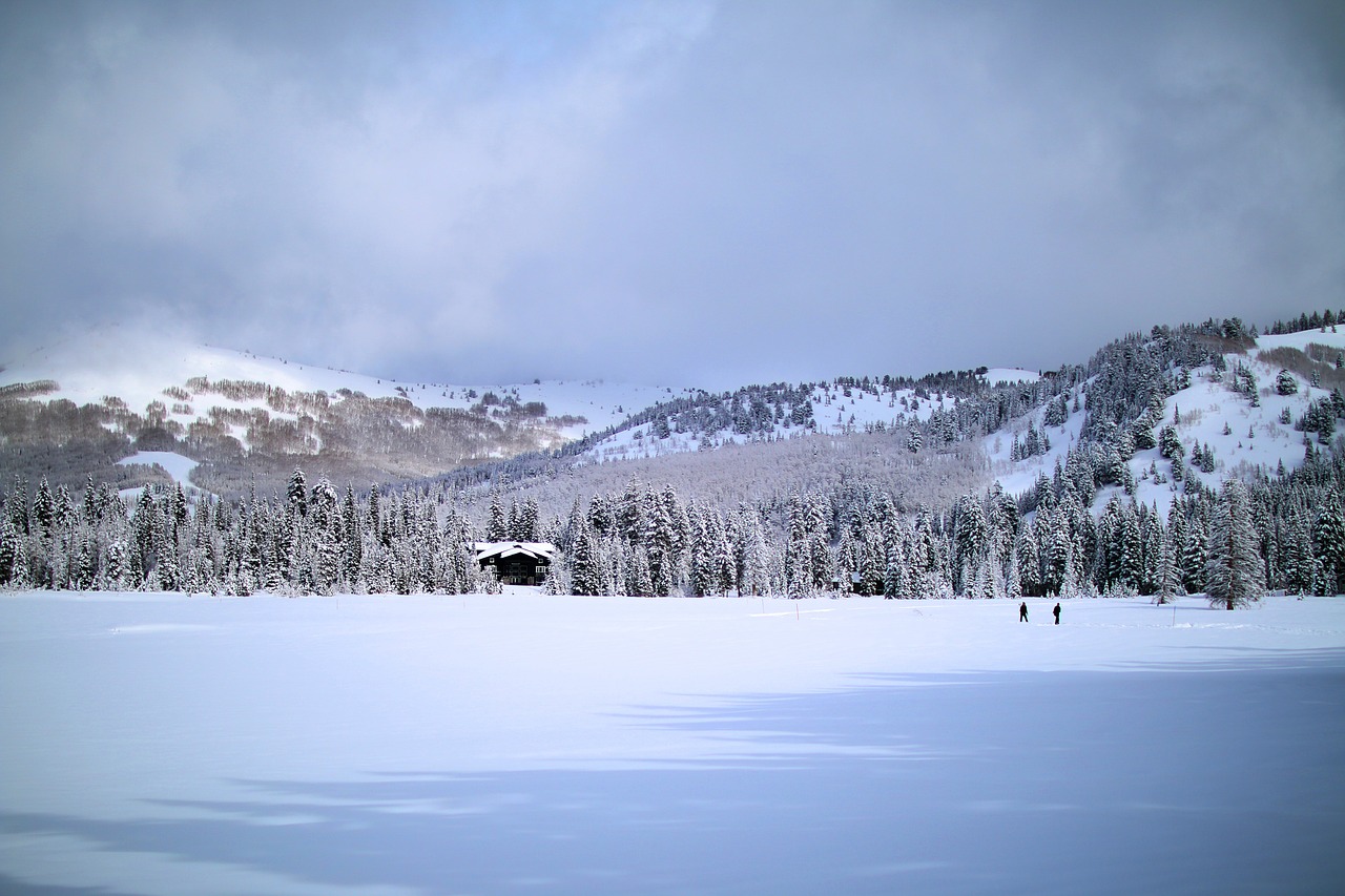 snow winter mountain free photo